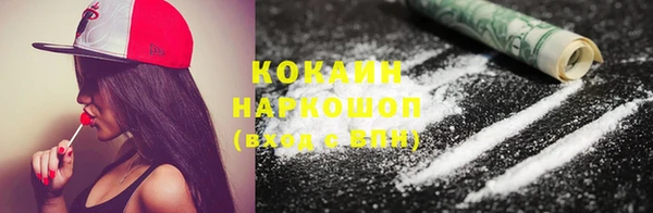 СК Елизово
