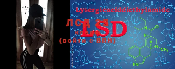 PSILOCYBIN Елабуга