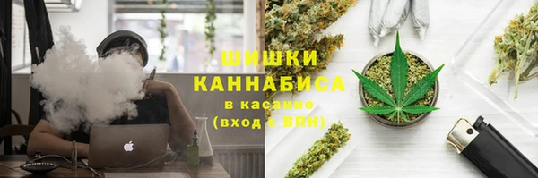 PSILOCYBIN Елабуга