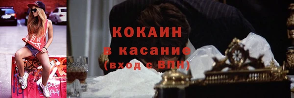 PSILOCYBIN Елабуга