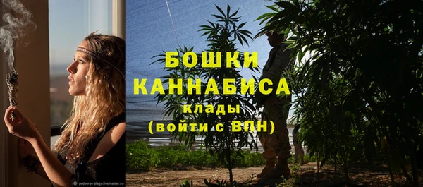 СК Елизово