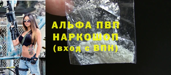 PSILOCYBIN Елабуга