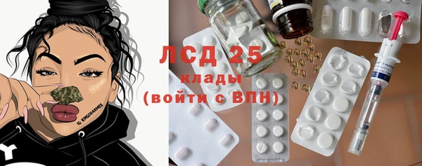 СК Елизово