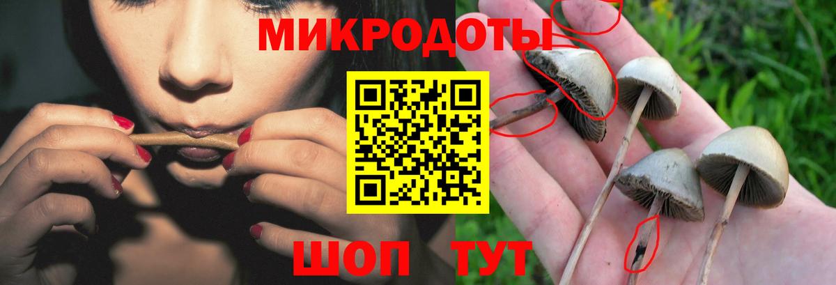 Бошки Шишки Коломна